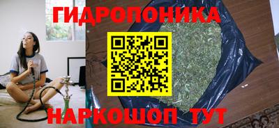 стаф Новодвинск