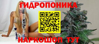 молекула духа Новозыбков