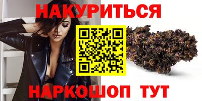 стаф Новодвинск