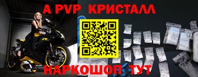 стаф Новодвинск