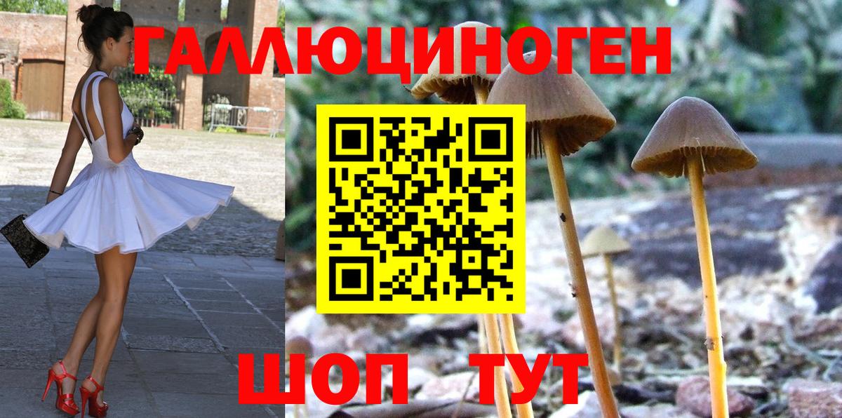 Галлюциногенные грибы мухоморы  Вход с VPN  Галлюциногенные грибы Psilocybe  Старая Купавна 